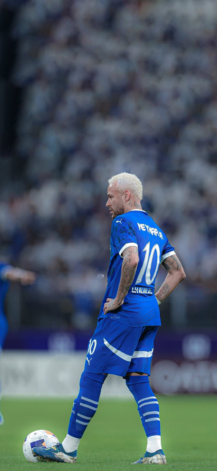 努力和奉献 努力和奉献