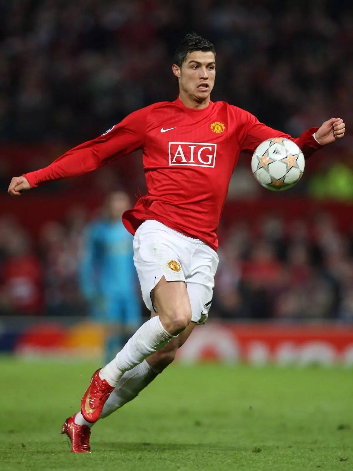 津门虎坚持 津门虎坚持