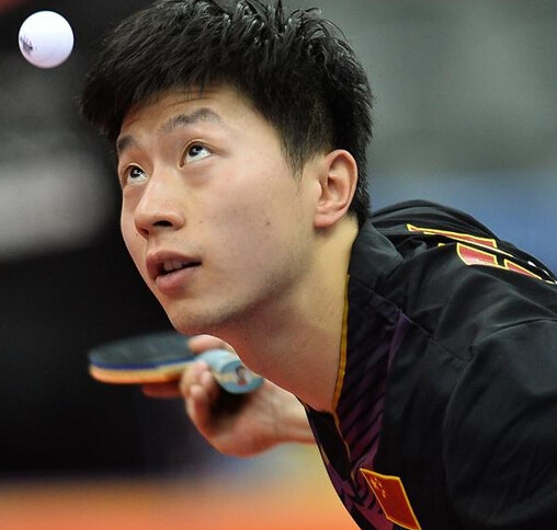 的双能力 的双能力